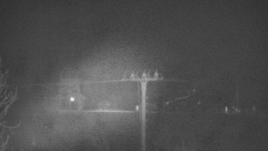 Skiareál Troják - Troják, Maruška - Meteostanice - 25.12.2025 v 05:03 Skiareál Troják - Troják, Maruška - Meteostanice - 25.12.2025 v 05:03