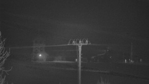 Skiareál Troják - Troják, Maruška - Meteostanice - 25.12.2025 v 05:20 Skiareál Troják - Troják, Maruška - Meteostanice - 25.12.2025 v 05:20