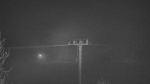 Skiareál Troják - Troják, Maruška - Meteostanice - 26.12.2025 v 00:03 Skiareál Troják - Troják, Maruška - Meteostanice - 26.12.2025 v 00:03