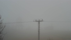 Troják, Maruška - Meteostanice