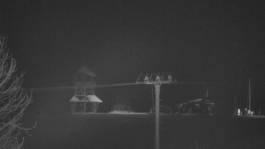 Skiareál Troják - Troják, Maruška - Meteostanice - 17.2.2026 v 01:35 Skiareál Troják - Troják, Maruška - Meteostanice - 17.2.2026 v 01:35