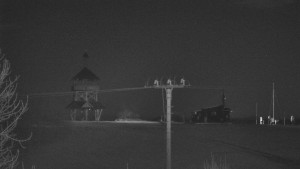 Skiareál Troják - Troják, Maruška - Meteostanice - 5.3.2026 v 04:02 Skiareál Troják - Troják, Maruška - Meteostanice - 5.3.2026 v 04:02