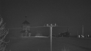 Skiareál Troják - Troják, Maruška - Meteostanice - 5.3.2026 v 04:40 Skiareál Troják - Troják, Maruška - Meteostanice - 5.3.2026 v 04:40