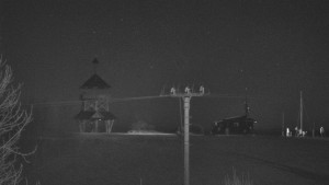 Skiareál Troják - Troják, Maruška - Meteostanice - 5.3.2026 v 05:05 Skiareál Troják - Troják, Maruška - Meteostanice - 5.3.2026 v 05:05