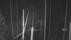 Skiareál Troják - Troják, Maruška - Meteostanice - 26.3.2026 v 00:05 Skiareál Troják - Troják, Maruška - Meteostanice - 26.3.2026 v 00:05