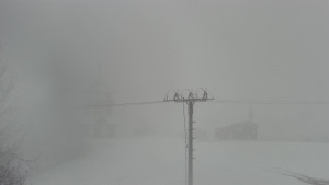 Skiareál Troják - Troják, Maruška - Meteostanice - 26.3.2026 v 08:03 Skiareál Troják - Troják, Maruška - Meteostanice - 26.3.2026 v 08:03