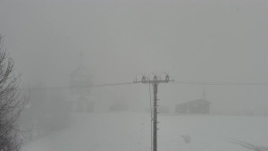 Skiareál Troják - Troják, Maruška - Meteostanice - 26.3.2026 v 08:33 Skiareál Troják - Troják, Maruška - Meteostanice - 26.3.2026 v 08:33