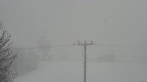 Skiareál Troják - Troják, Maruška - Meteostanice - 26.3.2026 v 09:10 Skiareál Troják - Troják, Maruška - Meteostanice - 26.3.2026 v 09:10