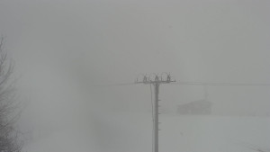 Skiareál Troják - Troják, Maruška - Meteostanice - 26.3.2026 v 10:03 Skiareál Troják - Troják, Maruška - Meteostanice - 26.3.2026 v 10:03