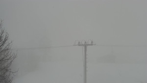 Skiareál Troják - Troják, Maruška - Meteostanice - 26.3.2026 v 12:40 Skiareál Troják - Troják, Maruška - Meteostanice - 26.3.2026 v 12:40