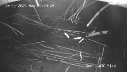 Autokemp Seč Pláž