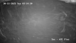 Autokemp Seč Pláž