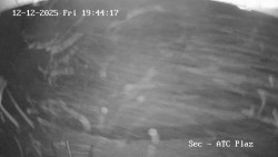 Autokemp Seč Pláž