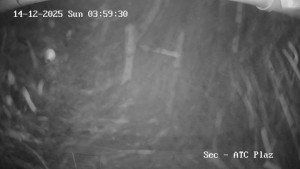 Přehrada Seč - Autokemp Seč Pláž - 14.12.2025 v 04:00 Přehrada Seč - Autokemp Seč Pláž - 14.12.2025 v 04:00