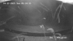 Autokemp Seč Pláž