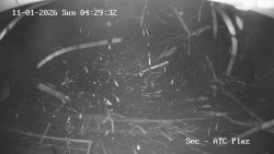 Autokemp Seč Pláž