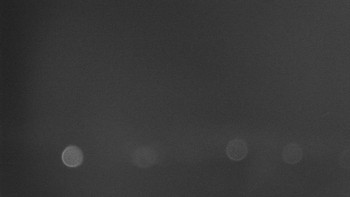 Snímek    26.10.2025 v 03:02