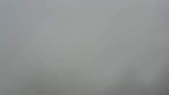 Snímek 16.11.2025 v 07:03