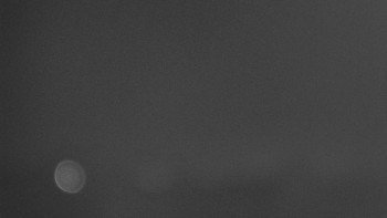 Snímek 18.11.2025 v 19:02