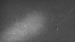 Troják, Maruška - parkoviště