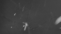 Troják, Maruška - parkoviště