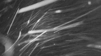 Snímek 22.11.2025 v 22:03