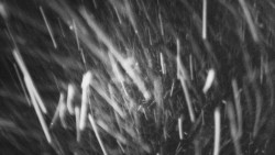 Troják, Maruška - parkoviště