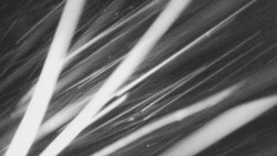 Troják, Maruška - parkoviště