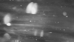 Troják, Maruška - parkoviště