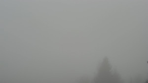 Skiareál Troják - Troják, Maruška - parkoviště - 14.12.2025 v 14:33 Skiareál Troják - Troják, Maruška - parkoviště - 14.12.2025 v 14:33