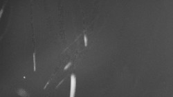 Troják, Maruška - parkoviště