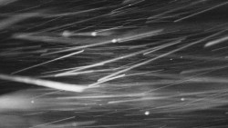 Troják, Maruška - parkoviště