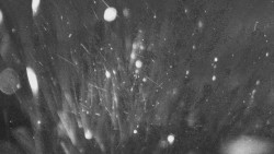 Troják, Maruška - parkoviště