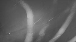 Troják, Maruška - parkoviště