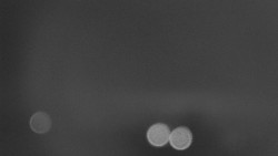 Troják, Maruška - parkoviště