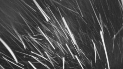 Troják, Maruška - parkoviště