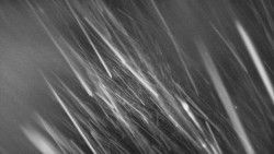 Troják, Maruška - parkoviště