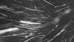 Troják, Maruška - parkoviště