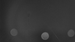 Troják, Maruška - parkoviště