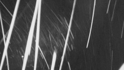 Troják, Maruška - parkoviště