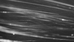 Troják, Maruška - parkoviště