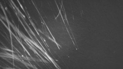 Troják, Maruška - parkoviště