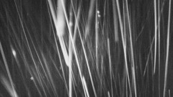 Troják, Maruška - parkoviště