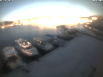 Snímek    4.11.2025 v 07:46