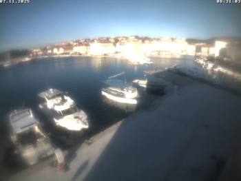 Snímek 7.11.2025 v 08:31