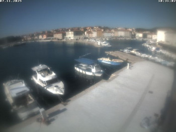 Snímek 7.11.2025 v 10:31