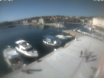 Snímek 7.11.2025 v 12:46