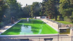 Bazén