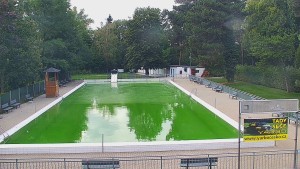 Koupaliště Bystřice pod Hostýnem - Bazén - 16.9.2026 v 16:00 Koupaliště Bystřice pod Hostýnem - Bazén - 16.9.2026 v 16:00