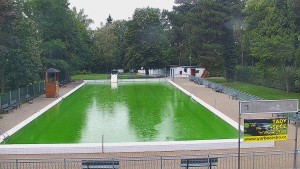 Basen Bystřice pod Hostýnem - Basen - 22.9.2026 v 13:45 Basen Bystřice pod Hostýnem - Basen - 22.9.2026 v 13:45
